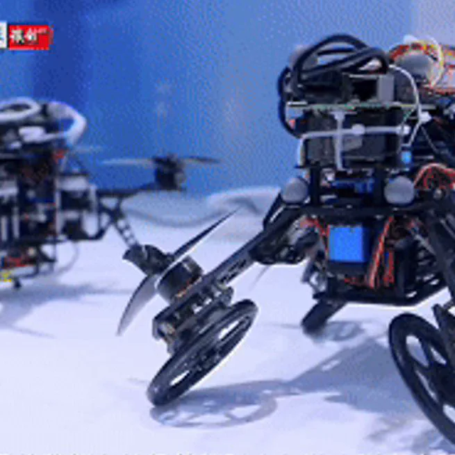 仿生/变结构机器人