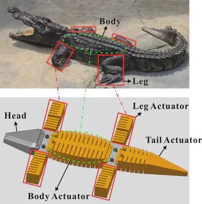 受鳄鱼启发的爬行机器人设计思路
